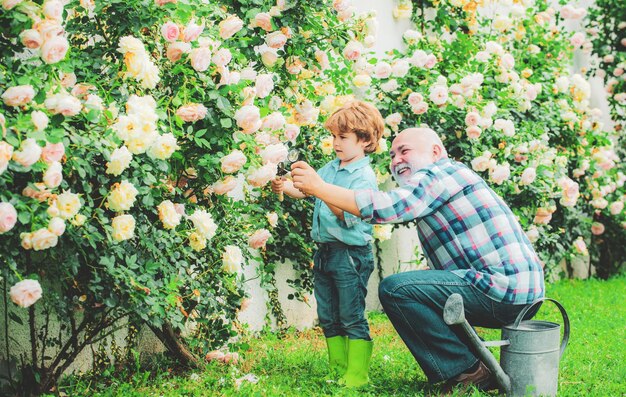 Grandfather and grandson old and young concept of a retirement age bearded senior gardener in an urb