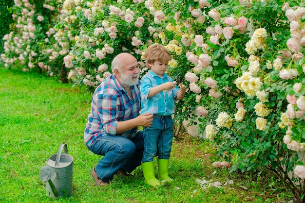 Grandfather and grandson old and young concept of a retirement age growing plants a grandfather and