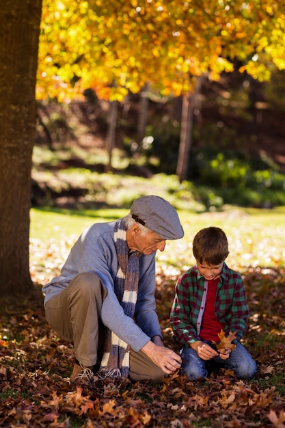 Дед и внук играют с осенними листьями