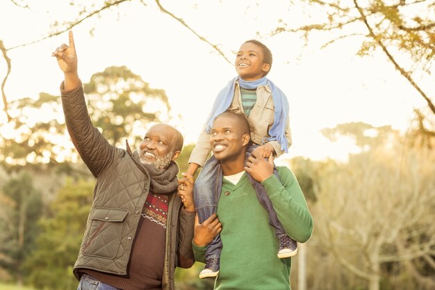 Grandfather pointing something to his son and grandson