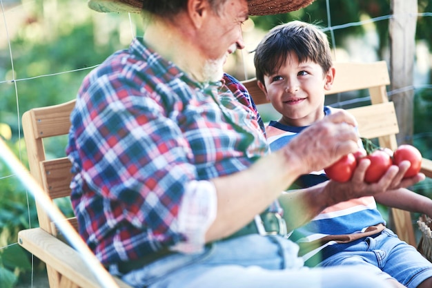 Photo grandfather with grandson sitting in the vegetable garden