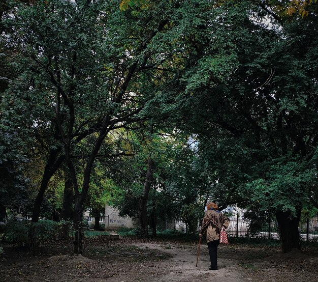 Grandma is walking in a green park