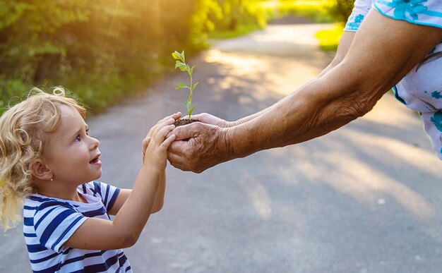 写真 おばあちゃんと子供が手に木の芽を握っている 選択的な焦点