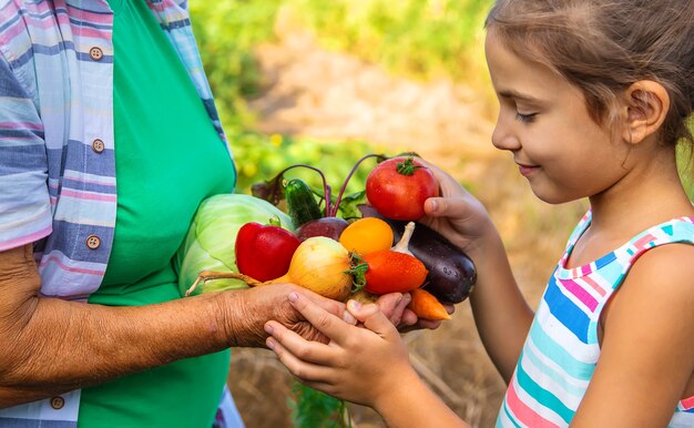 Grandmother in the garden with a child and a harvest of vegetables. Selective focus.