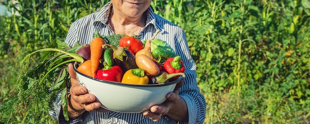 Grandmother in the garden with vegetables in her hands