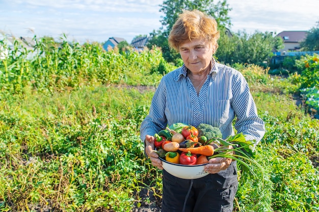 Бабушка в огороде с овощами в руках. Выборочный фокус.