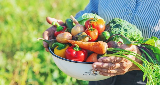 手に野菜を持つ庭の祖母。