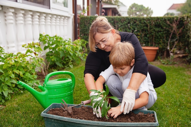 La nonna aiuta il nipote a piantare fiori nel terreno