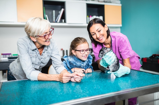 Grandmother and her granddaughter with their chinchilla pet at veterinary.