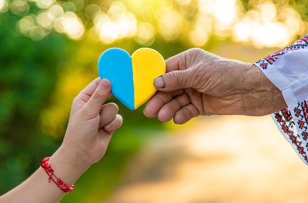 Grandmother holds in her hands a heart in the color of the Ukrainian flag Selective focus