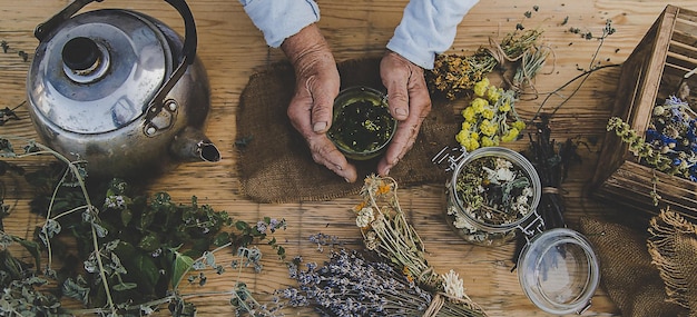 Grandmother makes tea with medicinal herbs selective focus