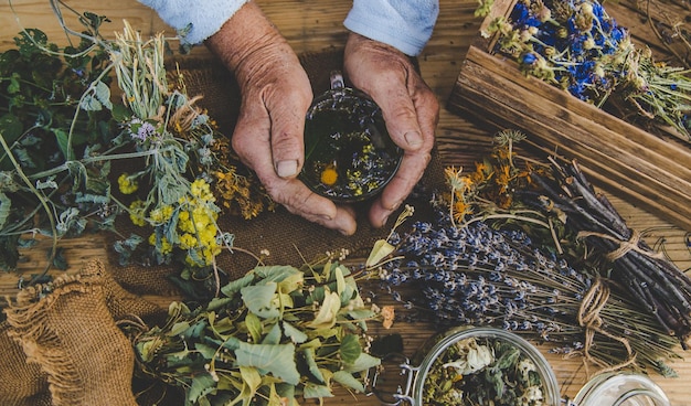 Grandmother makes tea with medicinal herbs Selective focus