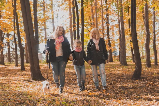 Grandmother and mother with granddaughter throw up fall leaves in autumn park and having fun. Generation, leisure and family concept