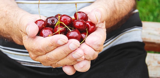 Grandparents feed the child with cherries.selective focus.nature