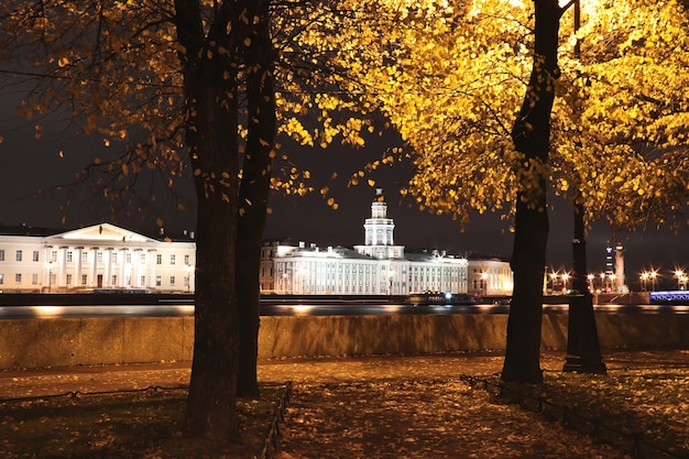 Granite embankment of the river Neva on an autumn night