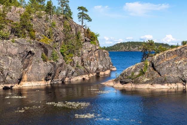 Granite rocky coast and pine tree forest