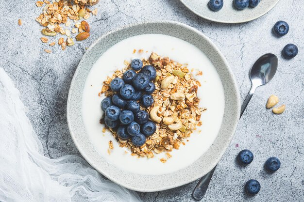 Granola with yogurt and blueberries in a plate on a gray background