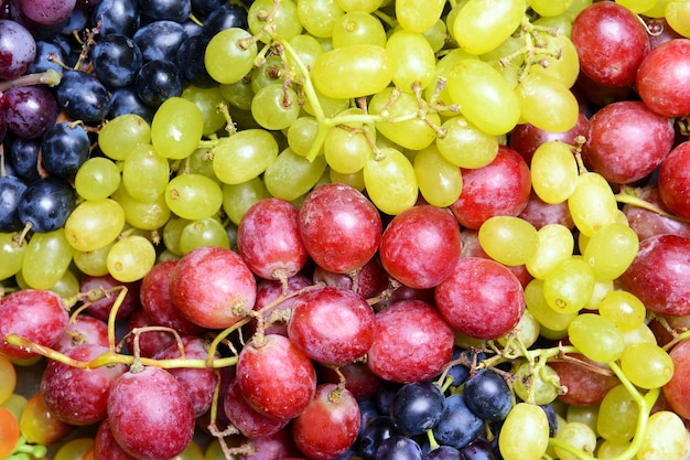 Grape background