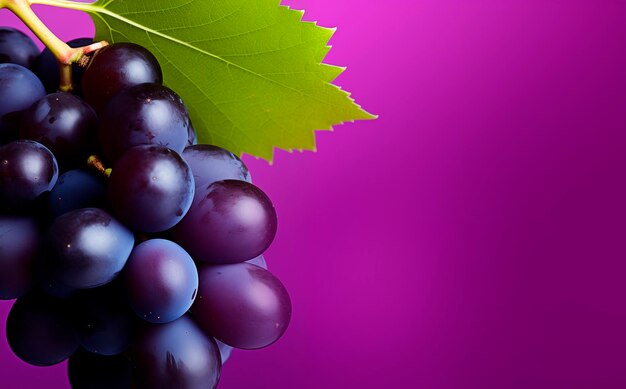 Photo grape bunch close up purple background with copy space ai generated