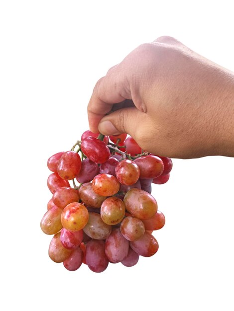 Foto uva da frutto in mano su sfondo bianco