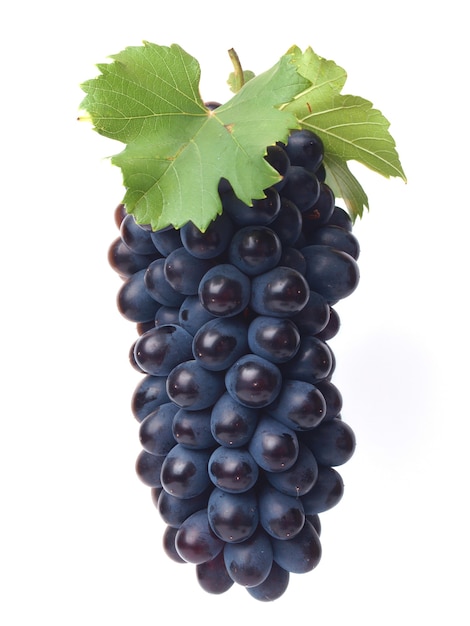 Grape fruit