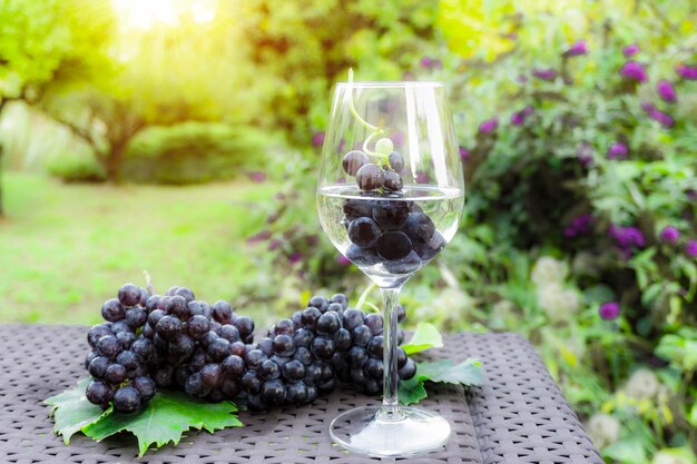 Photo grape fruits in a glass of white wine and bunches of ripe grapes green leaves on table in garden