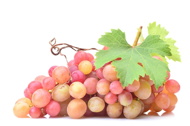 Grape fruits isolated on white background