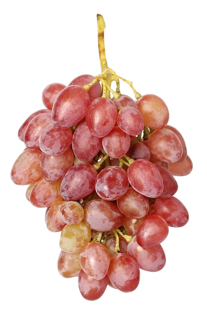 Photo grape grape isolated