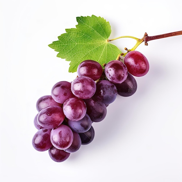 grape isolated on white background