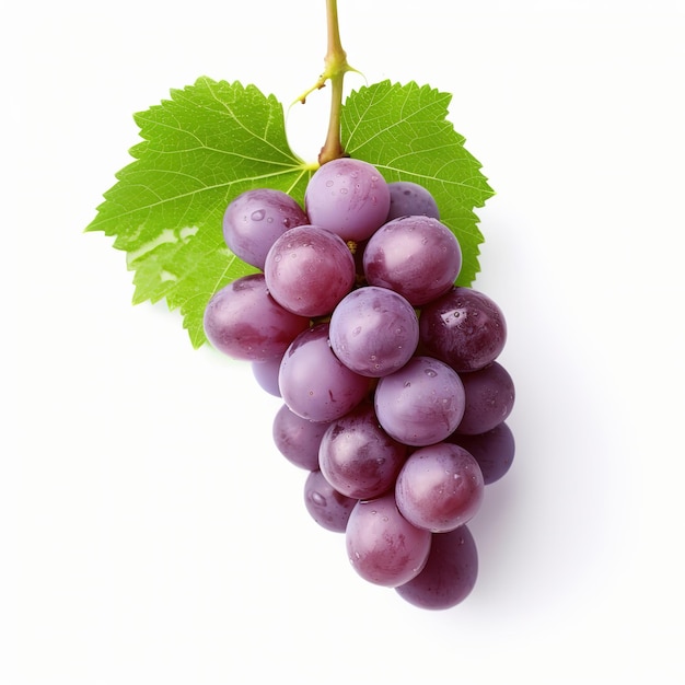 grape isolated on white background