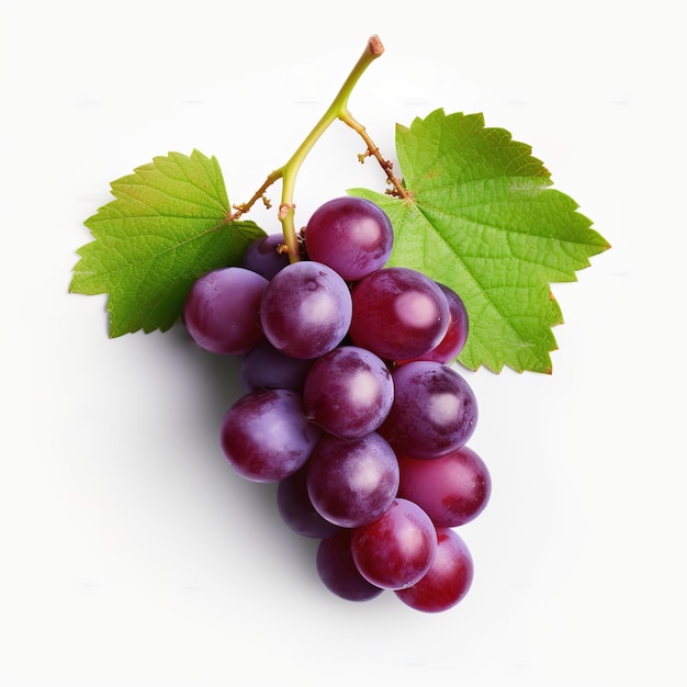 grape isolated on white background