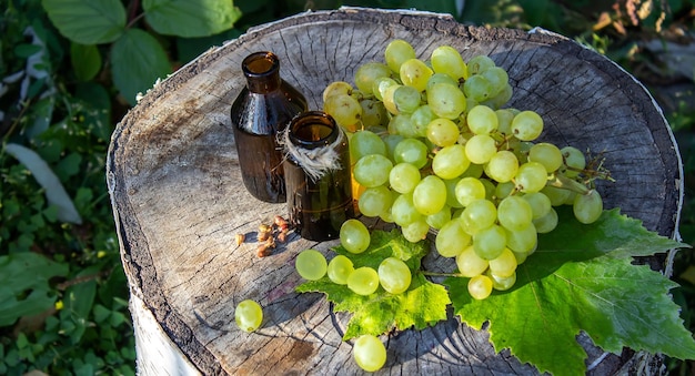 Grape seed oil in a glass jar and fresh grapes for spa and body care The concept of spa bio eco products selective focus