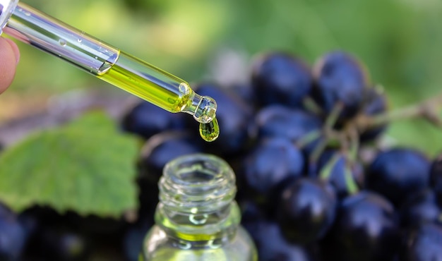 Grape seed oil in a glass jar and fresh grapes for spa and body care The concept of spa bio eco products