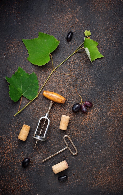 Grape and vintage corkscrew