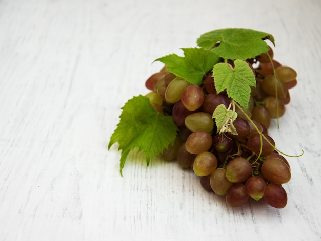 Grape with leaf