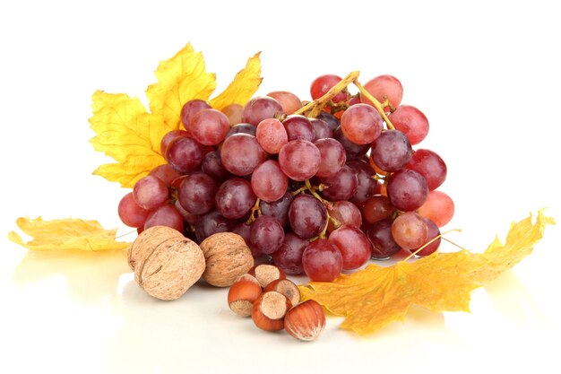 Grape with nutsd on white