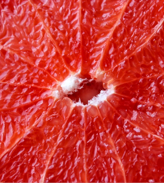 grapefruit bright red and cut by segments