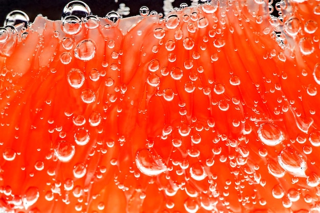 Ломтик грейпфрута, очищенный от кожуры в воде с пузырьками воздуха, освещенными снизу крупным планом, вид макроса на красные цитрусовые