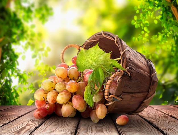 Grapes in a basket