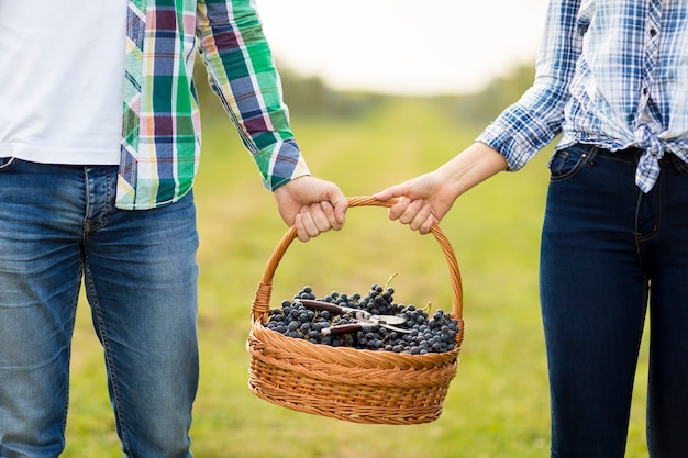 Grapes in basket