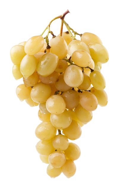 Grapes bunch on a white background Isolated