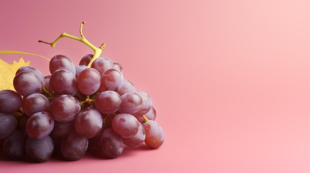 Photo grapes fruit