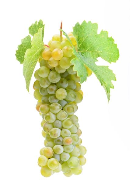 Виноград, изолированные на белом фоне