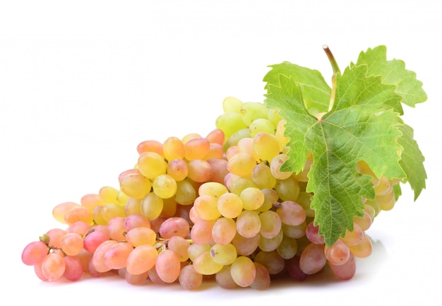 Grapes isolated