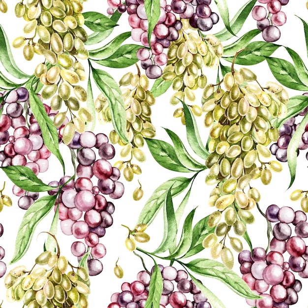 Grapes seamless patterns on white background watercolor illustration