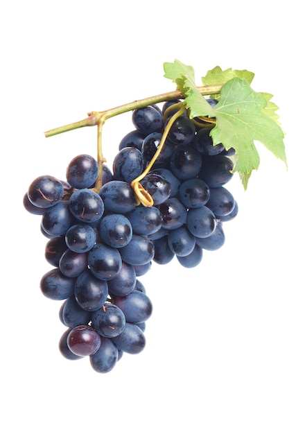 Grapes on a white background isolated