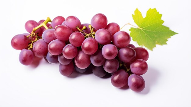 grapes on white background