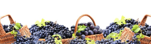 Grapes on a white background