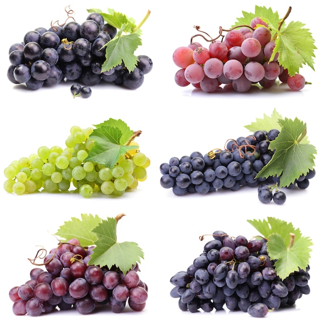 Grapes on a white background