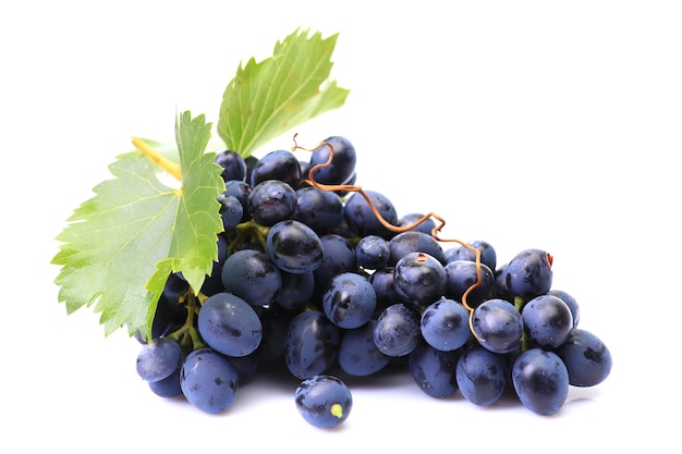 Grapes on a white background